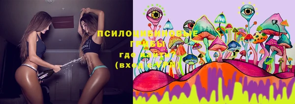 твердый Белоозёрский