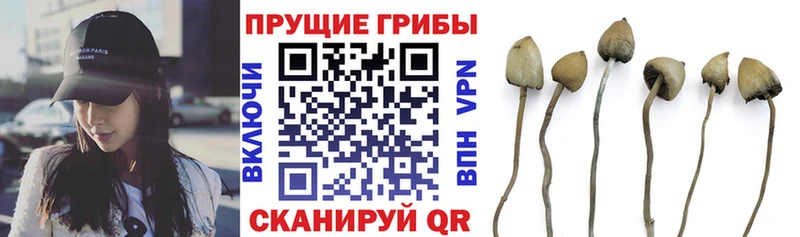 наркота  это клад  Галлюциногенные грибы мухоморы  Гремячинск 